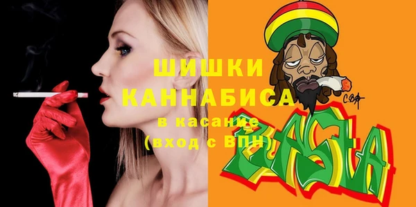 прущие грибы Бугульма