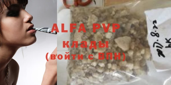 a pvp Бородино
