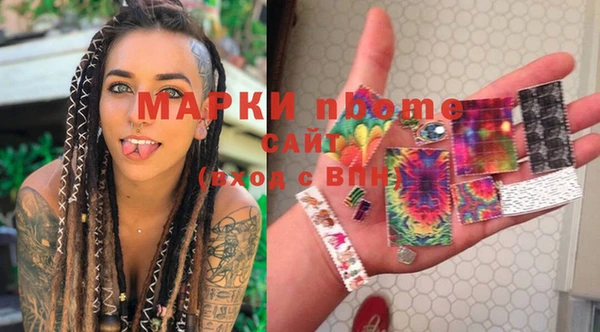 a pvp Бородино