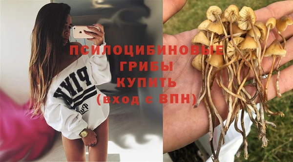 герыч Богданович