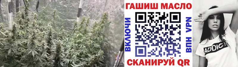 ТГК вейп площадка телеграм Кострома как найти наркотики